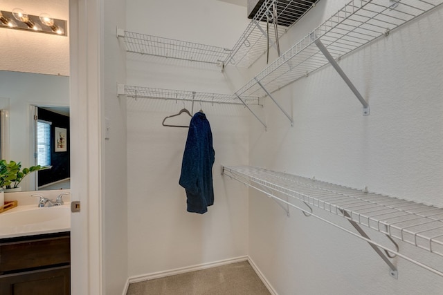 spacious closet with sink and carpet flooring