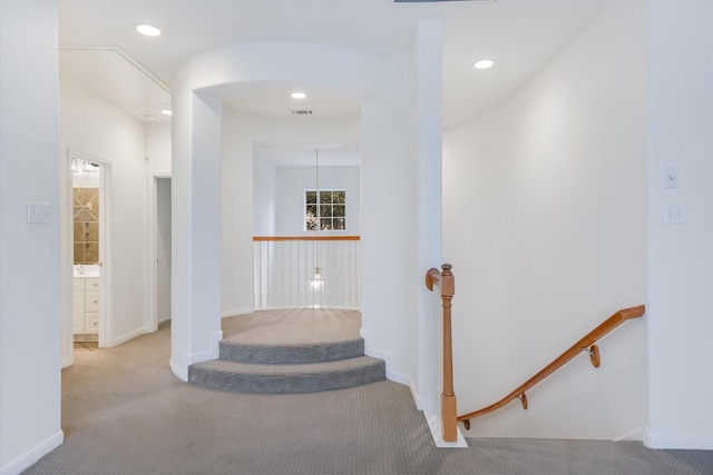 staircase featuring carpet flooring