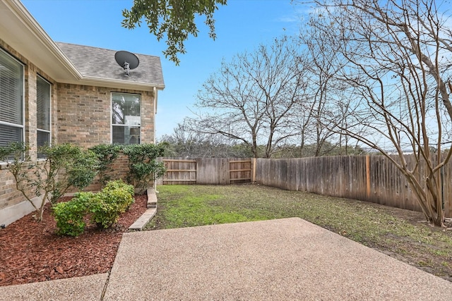 view of yard featuring a patio