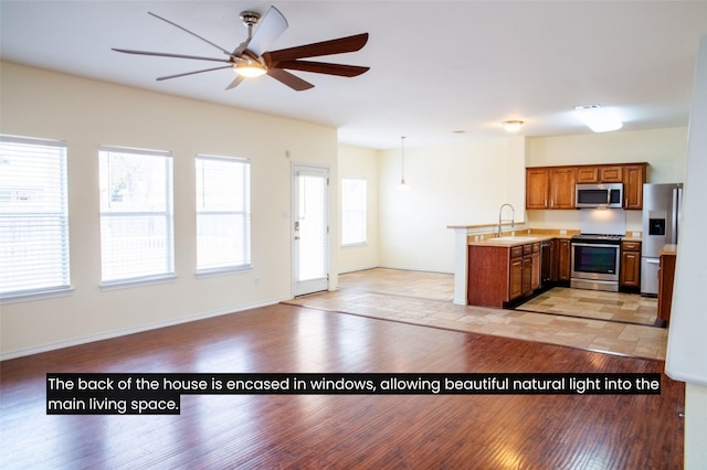 kitchen with sink, appliances with stainless steel finishes, kitchen peninsula, and a healthy amount of sunlight