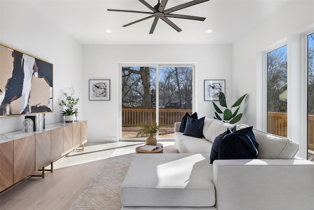 living room featuring ceiling fan and light hardwood / wood-style flooring