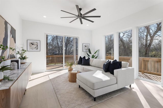 living room featuring ceiling fan and light hardwood / wood-style flooring