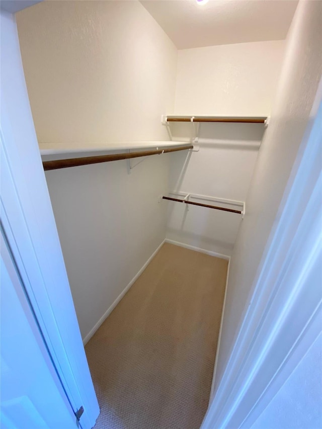 walk in closet with carpet flooring