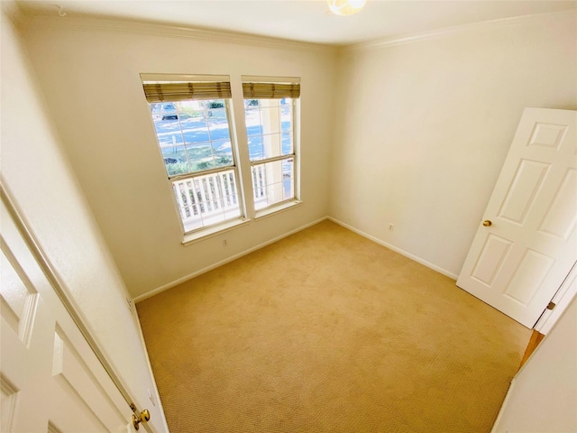 carpeted empty room featuring crown molding