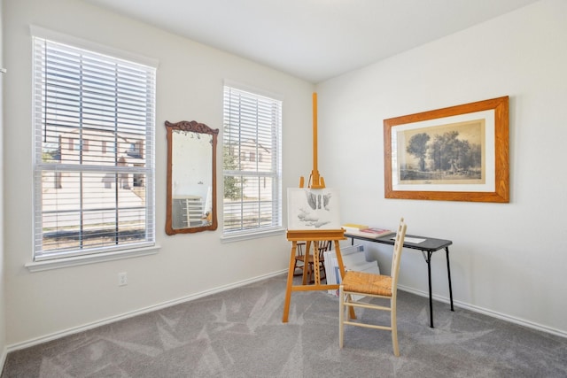 home office with carpet flooring