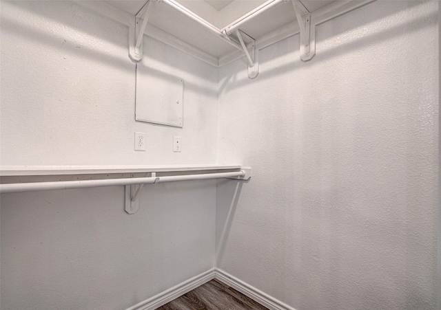 spacious closet with wood-type flooring