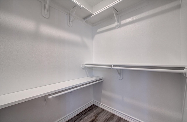 spacious closet with dark hardwood / wood-style flooring