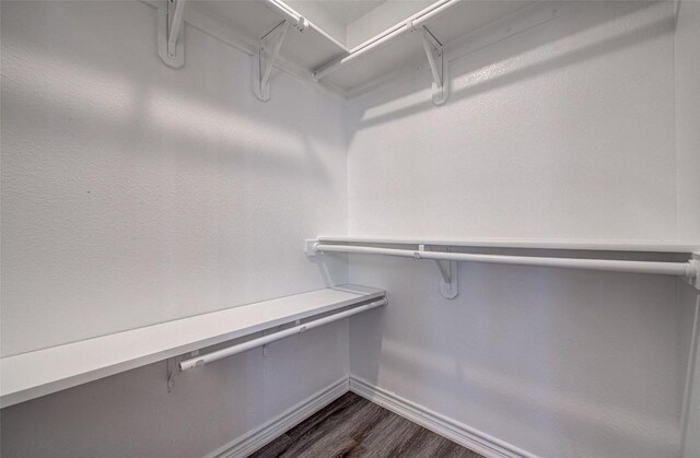 108 Elmer Ave, Burnet, TX 78611 - walk in closet with dark wood finished floors