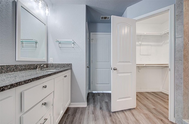 108 Elmer Ave, Burnet, TX 78611 - bathroom with wood finished floors, vanity, and a walk in closet