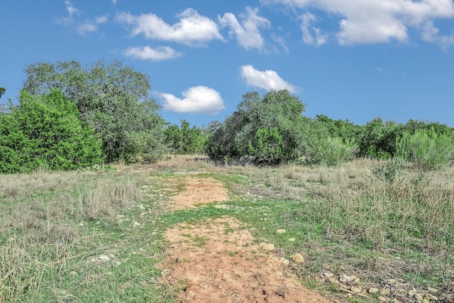 view of local wilderness