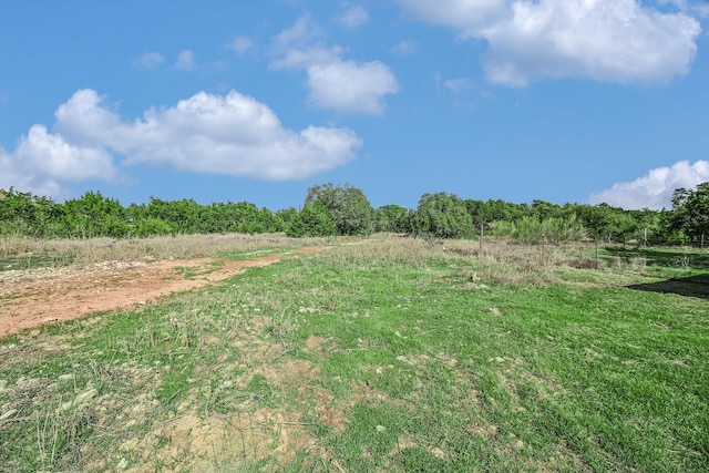 view of yard featuring a rural view