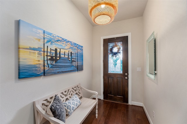 foyer entrance with dark wood-type flooring