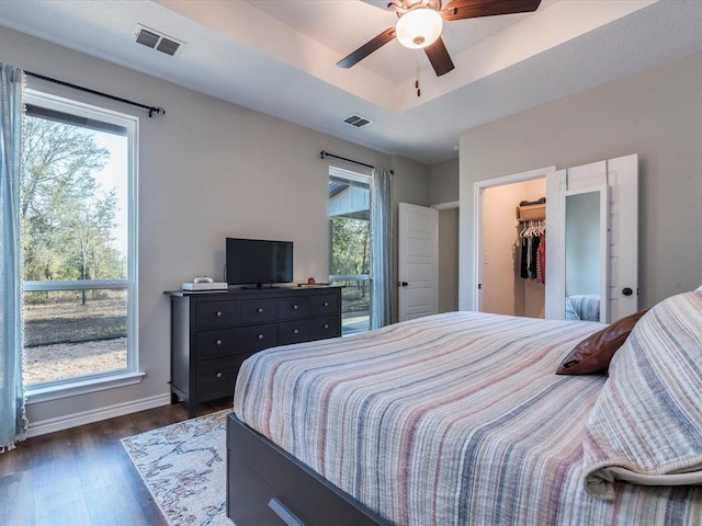 bedroom featuring a walk in closet, dark hardwood / wood-style floors, a closet, ceiling fan, and a tray ceiling