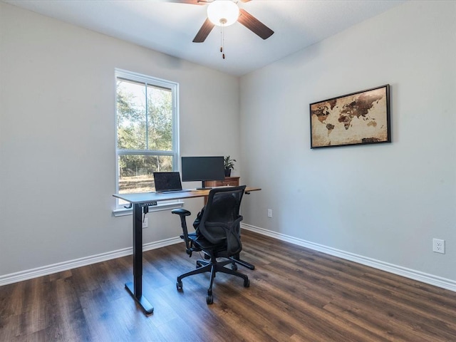 office with ceiling fan and dark hardwood / wood-style floors