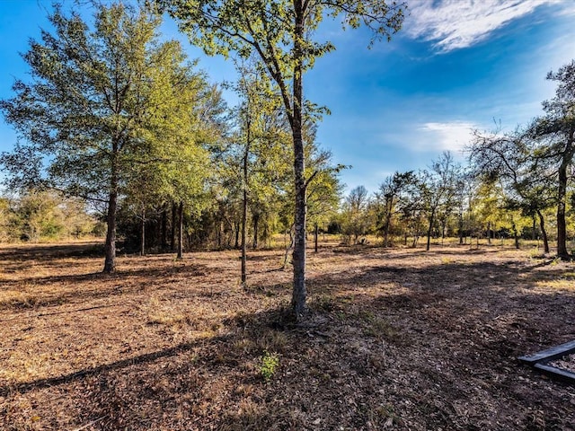 view of local wilderness