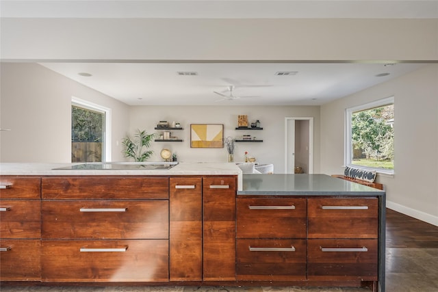 kitchen with black electric stovetop and ceiling fan