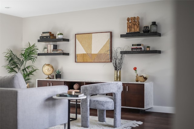 sitting room featuring dark hardwood / wood-style floors