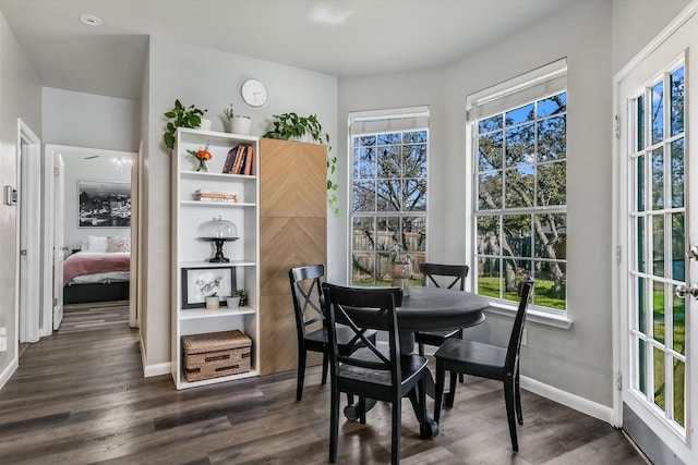 dining space featuring dark wood-type flooring