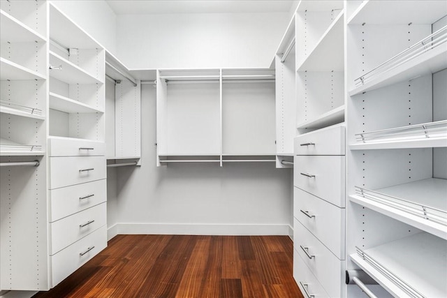 spacious closet with dark hardwood / wood-style flooring