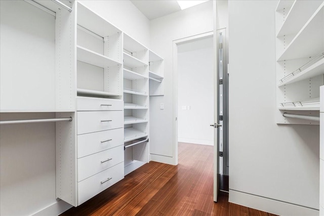 spacious closet featuring dark hardwood / wood-style floors