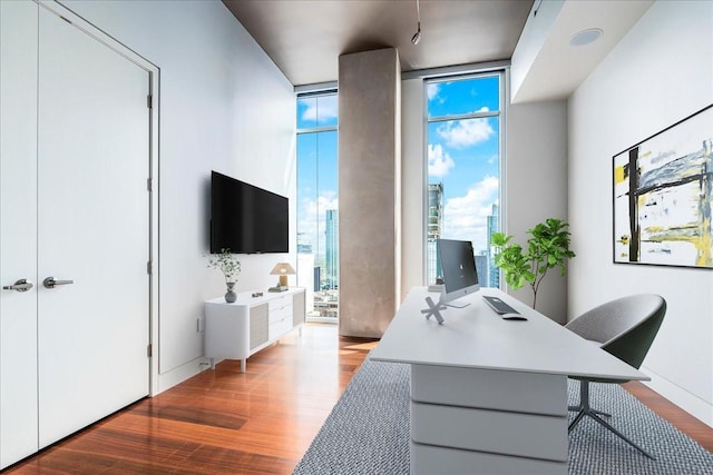 office space featuring light hardwood / wood-style floors and expansive windows