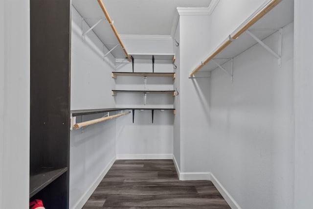 spacious closet with dark hardwood / wood-style flooring