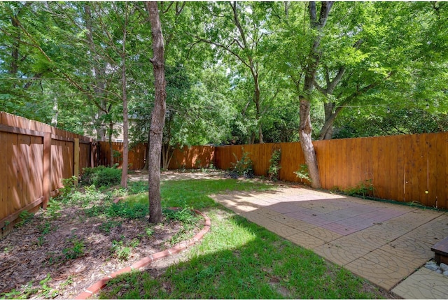 view of yard featuring a patio