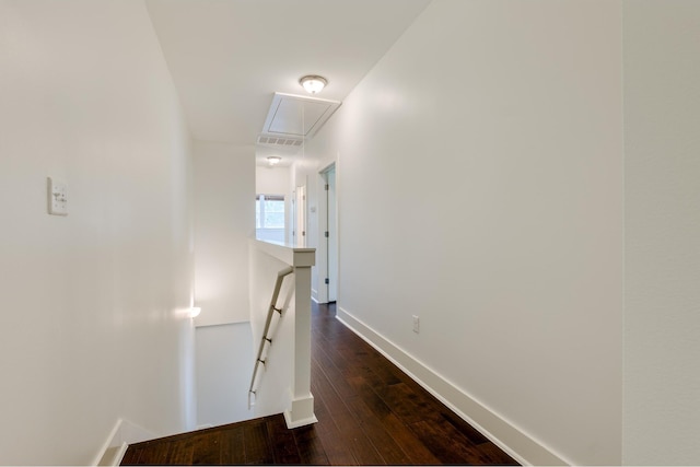 hall featuring dark hardwood / wood-style floors