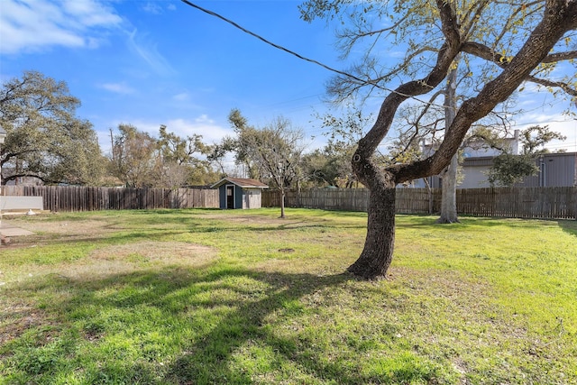 view of yard with a shed