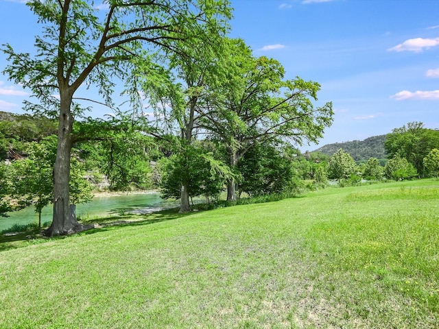 view of yard with a water view