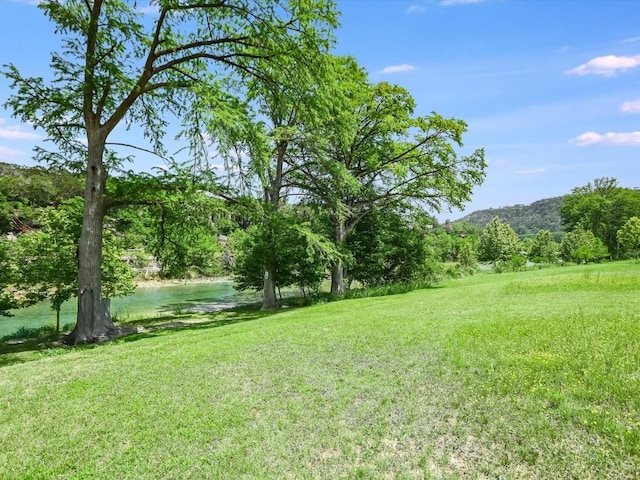 16 Meridian Dr, Wimberley, TX 78676 - photo 40