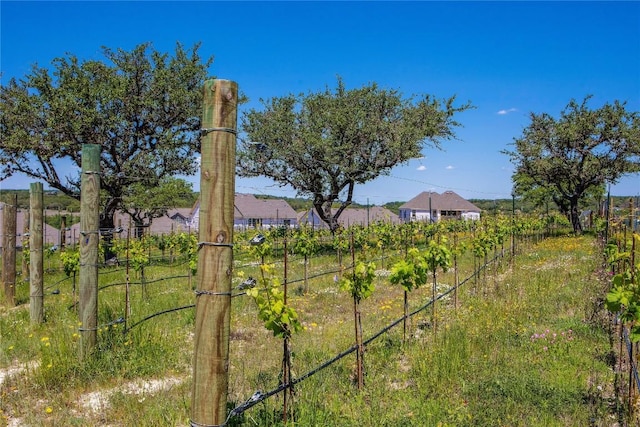 8412 Bouvreuil Dr, Austin, TX 78738 - view of yard featuring fence