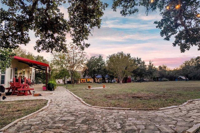 view of community with a patio area and a yard