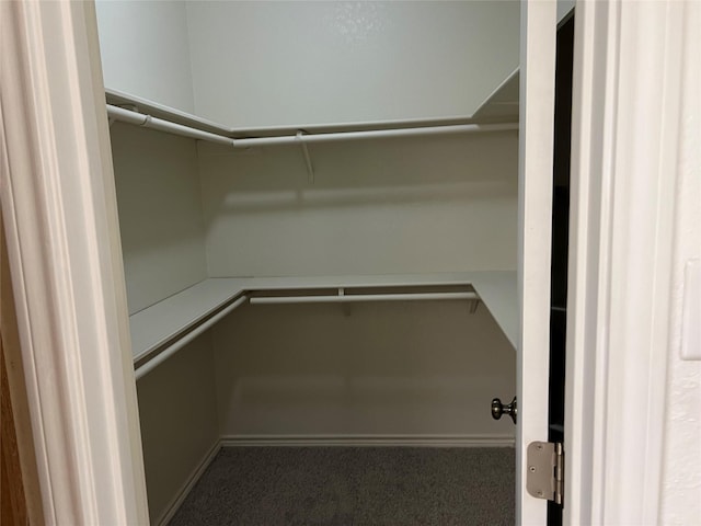 walk in closet featuring dark colored carpet