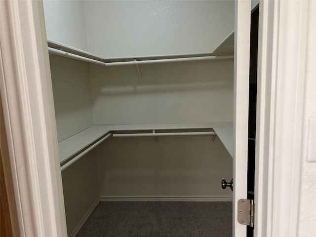 8200 Neely Dr Unit 117, Austin, TX 78759 - spacious closet featuring carpet floors