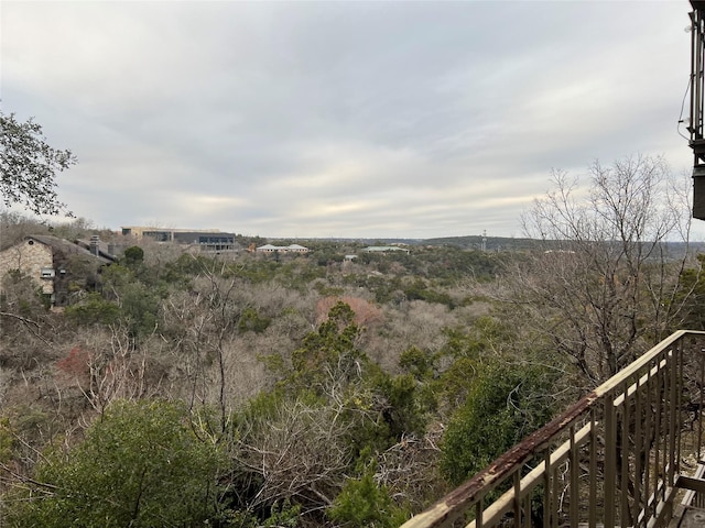 view of local wilderness