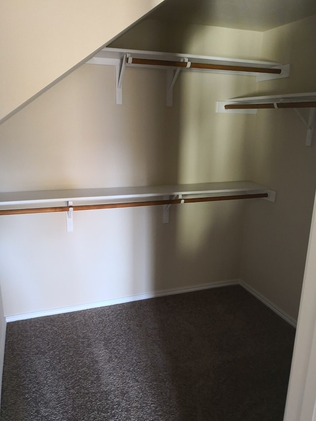 walk in closet featuring carpet floors