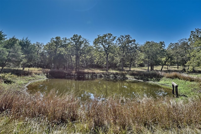 view of water feature