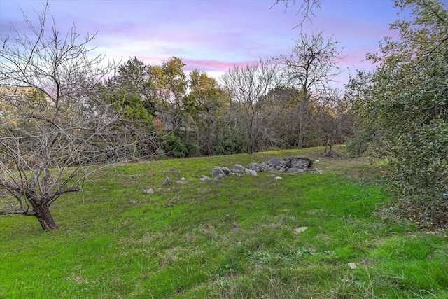 view of yard at dusk