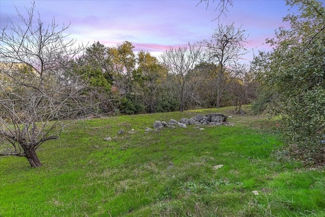 6817 Beatty Dr, Austin, TX 78749 - view of yard
