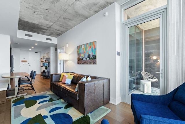 living room featuring wood-type flooring