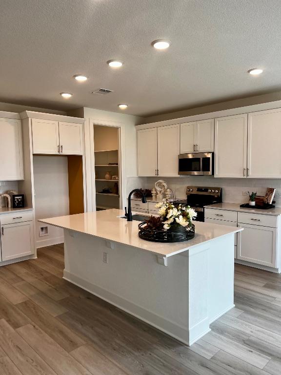 17101 Astral Ln, Manor, TX 78653 - kitchen with stainless steel appliances, a sink, a textured ceiling, white cabinets, and an island with sink