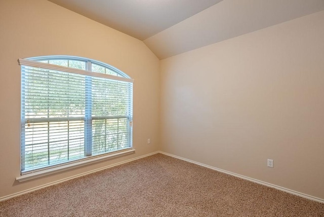 spare room with vaulted ceiling and carpet