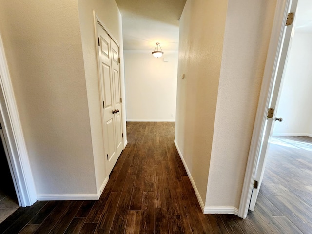 corridor with dark wood-type flooring