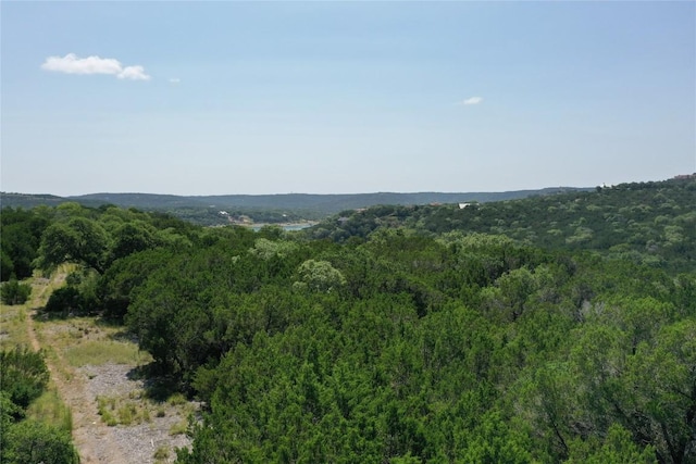 17233 Reed Parks Rd, Jonestown TX, 78645 land for sale