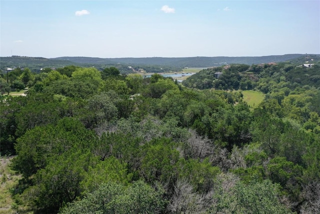 Listing photo 2 for 17233 Reed Parks Rd, Jonestown TX 78645