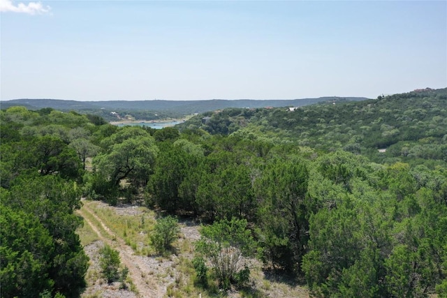 Listing photo 3 for 17233 Reed Parks Rd, Jonestown TX 78645