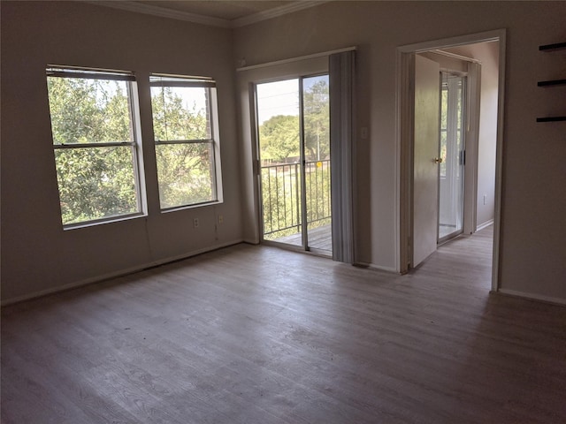 empty room featuring wood-type flooring and crown molding