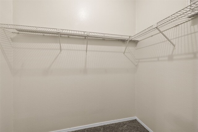12166 Metric Blvd Unit 341, Austin, TX 78758 - spacious closet featuring carpet