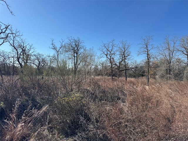 Listing photo 2 for TBD Marjess Dr, Cedar Creek TX 78612